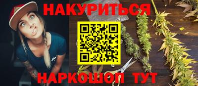 крисы Обь