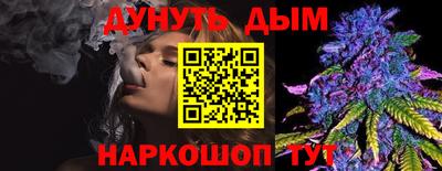 крисы Обь