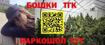 крисы Обь