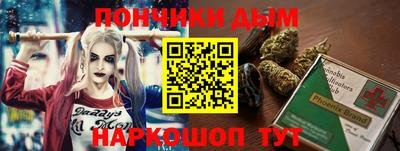 крисы Обь