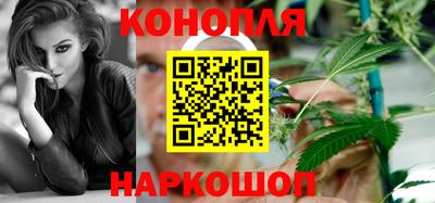 крисы Обь