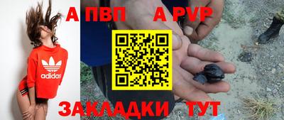 крисы Обь