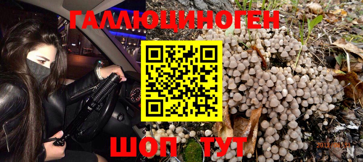Псилоцибиновые грибы Psilocybe Уварово