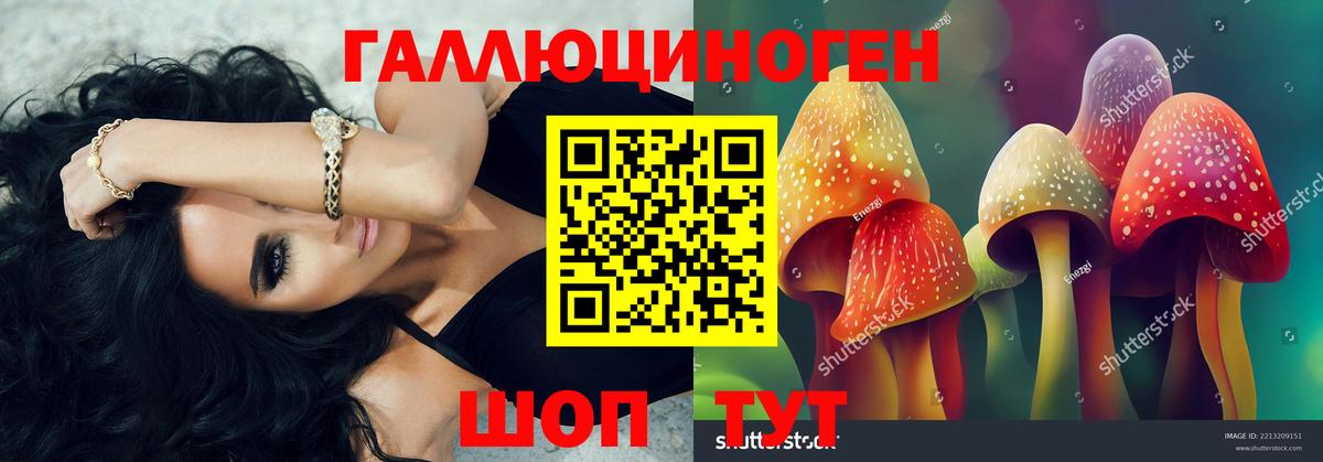 Псилоцибиновые грибы Cubensis  Вход с VPN  Уварово  Псилоцибиновые грибы Psilocybe 